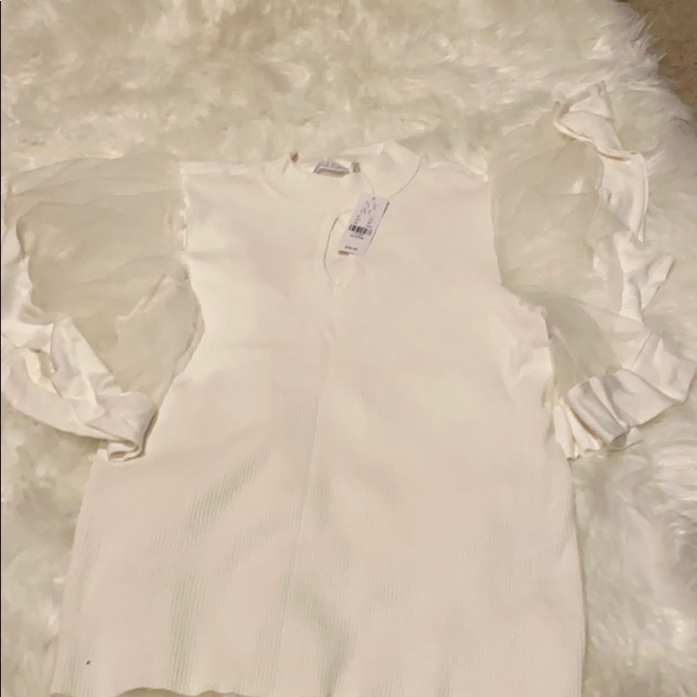 Chiffon Sleeve Blouse